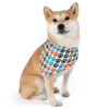 Bandana siendo usada por un Perro Akita